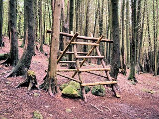 Camping Games in Forest Camping Games in Forest